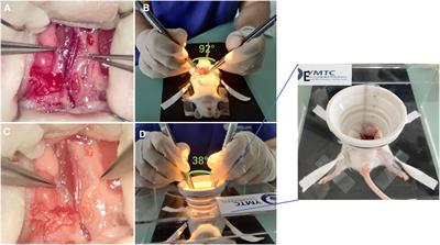 Microvascular anastomosis in a challenging setting using a 4 K three-dimensional exoscope compared with a conventional microscope: An in vivo animal study